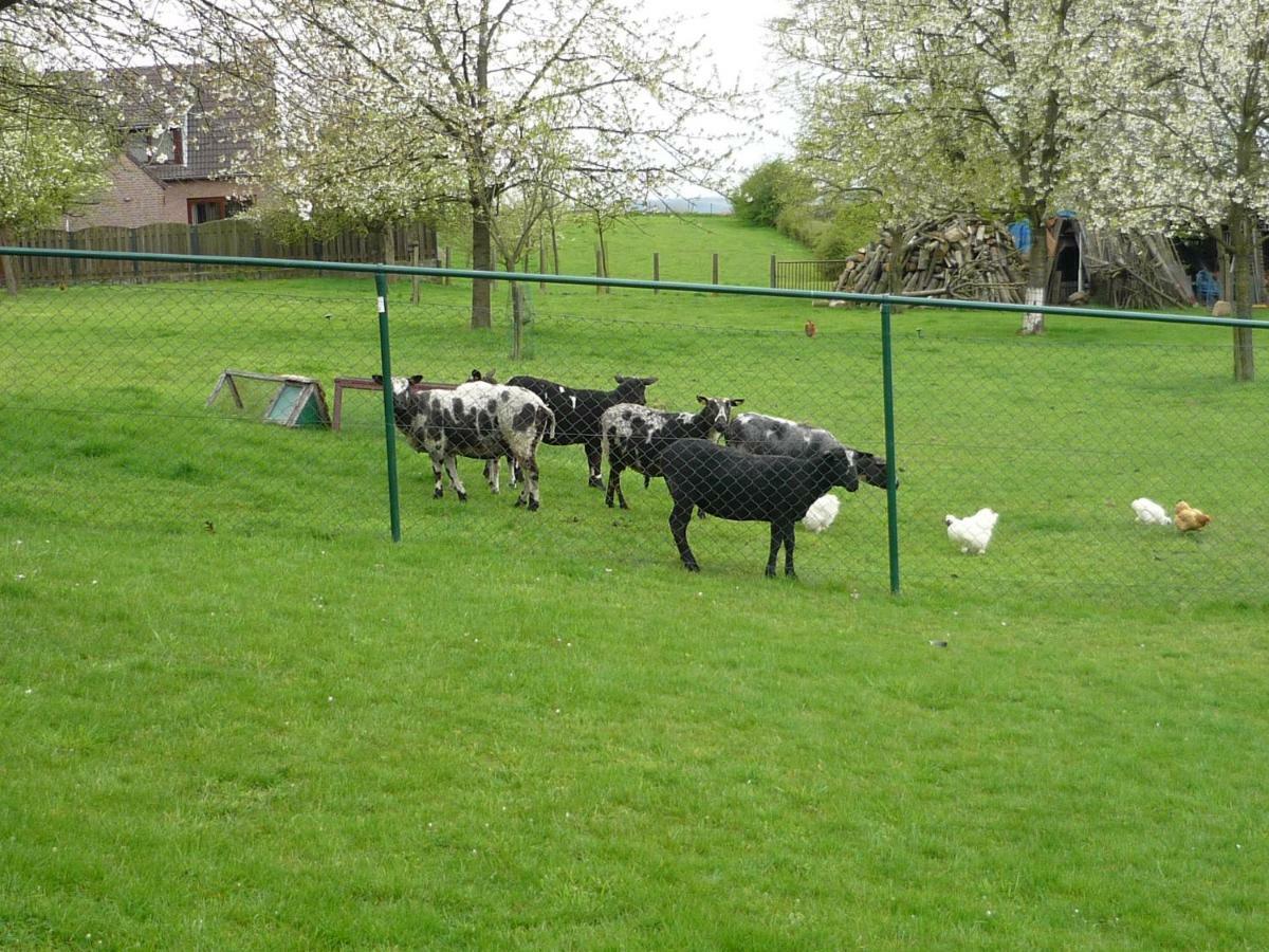 Hoeve Mingels Banholt エクステリア 写真