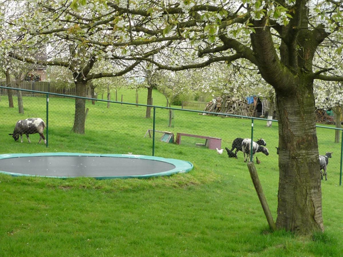 Hoeve Mingels Banholt エクステリア 写真